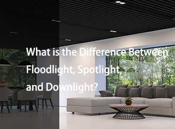 Quid interest inter diluvium, arcum et lucem?