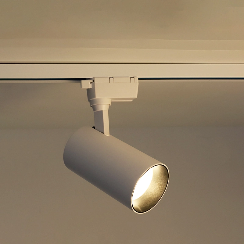 无主灯设计——在家中使用轨道灯的重要性