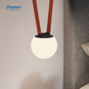 LED מסלול גמיש אור גמיש מחט עיצוב מחט צבע הניתן להחלפה של LRX0180-12 